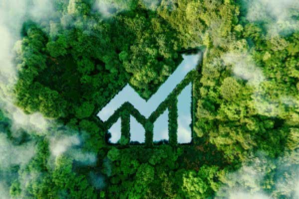 最后三个月！思创医惠（300078）股民索赔案已有终审胜诉案例，维权需抓紧！